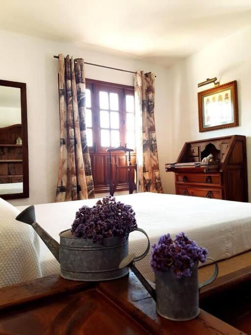 Apartamento Lavanda Corralejo Ngoại thất bức ảnh